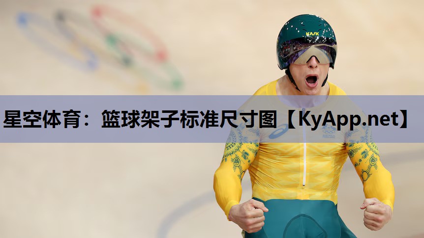 篮球架子标准尺寸图 篮球架子标准尺寸图